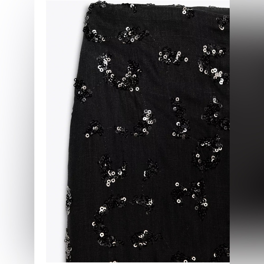 Zara sequin volume pants - Picture 3 of 3